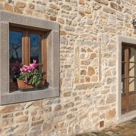 Villa Liz Tuscany, Private Pool, Hot Tub, Property Fenced, Pets Allowed Poppi Esterno foto