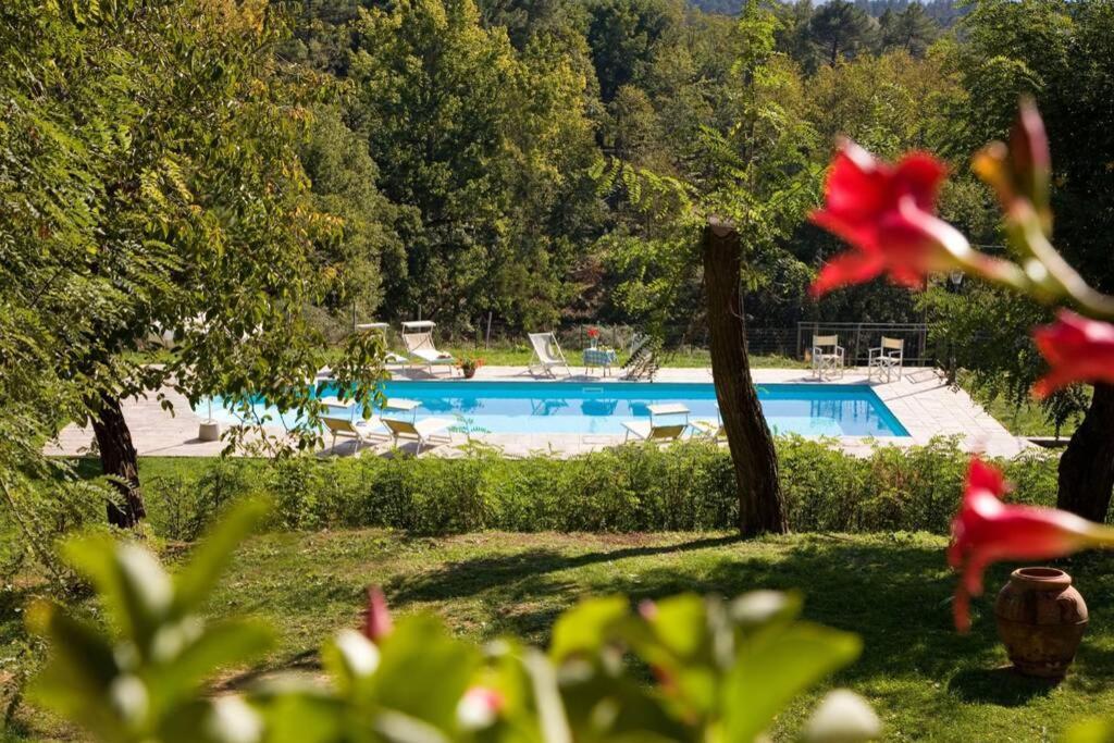 Villa Liz Tuscany, Private Pool, Hot Tub, Property Fenced, Pets Allowed Poppi Esterno foto