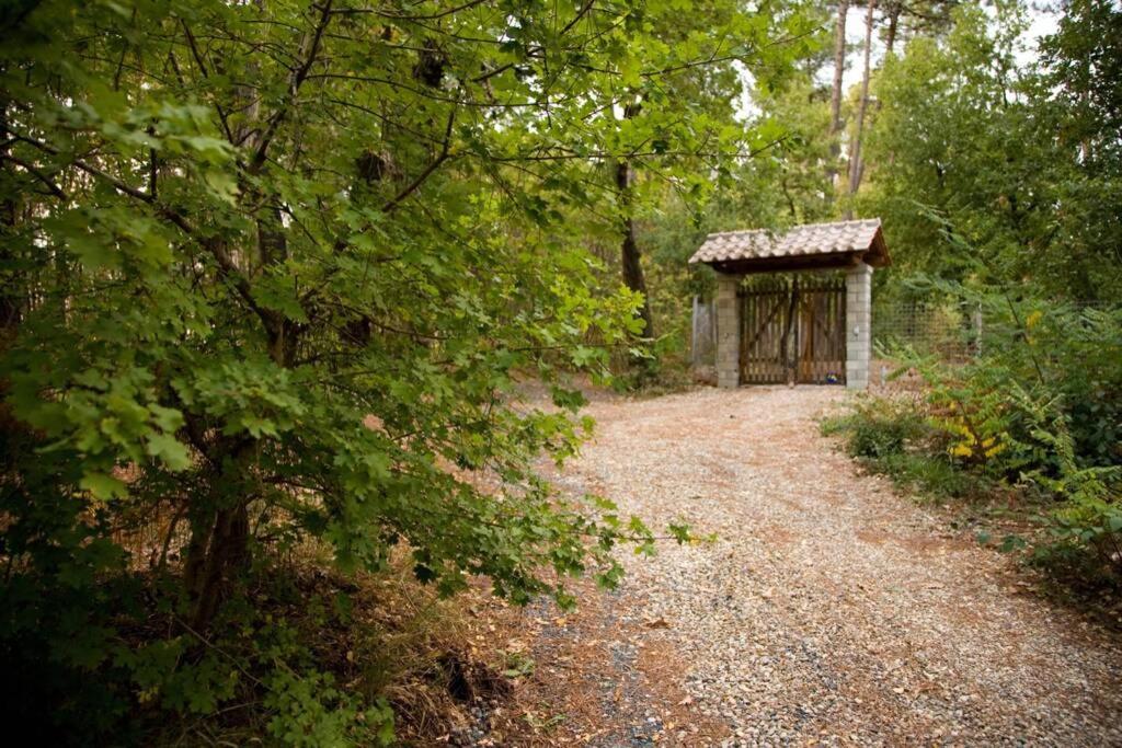 Villa Liz Tuscany, Private Pool, Hot Tub, Property Fenced, Pets Allowed Poppi Esterno foto