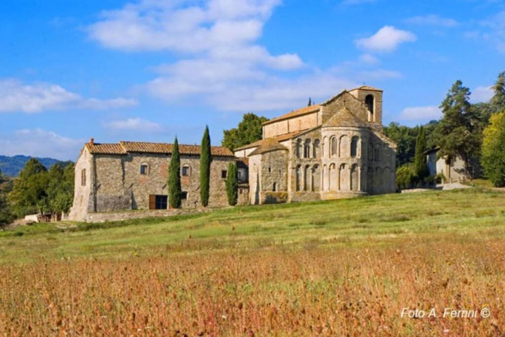 Villa Liz Tuscany, Private Pool, Hot Tub, Property Fenced, Pets Allowed Poppi Esterno foto