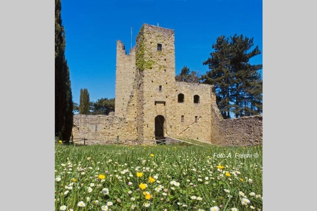 Villa Liz Tuscany, Private Pool, Hot Tub, Property Fenced, Pets Allowed Poppi Esterno foto