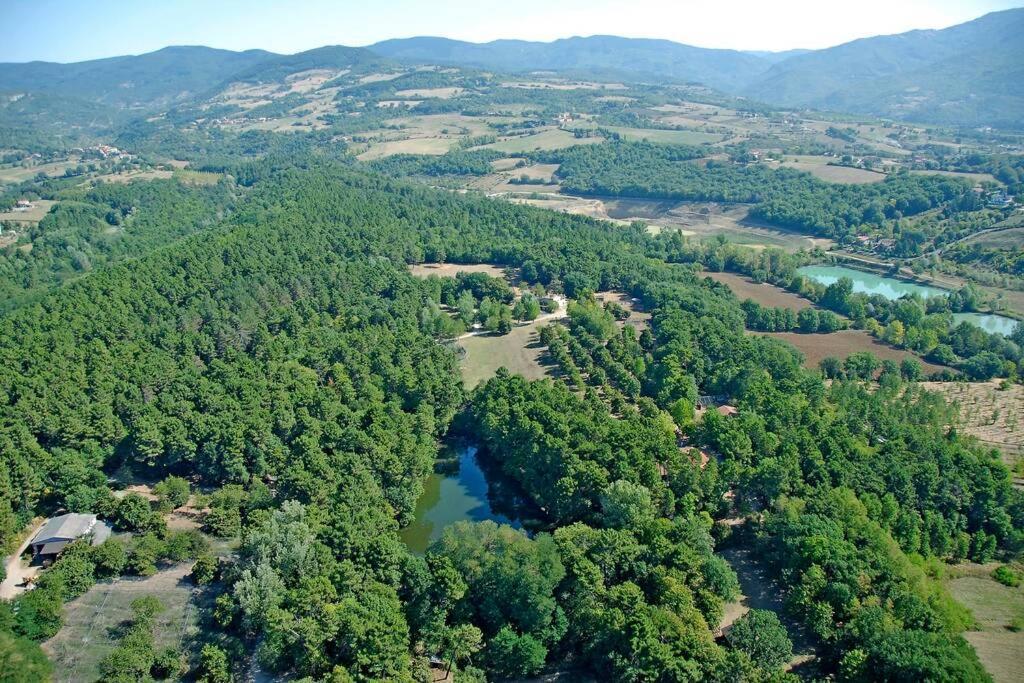 Villa Liz Tuscany, Private Pool, Hot Tub, Property Fenced, Pets Allowed Poppi Esterno foto