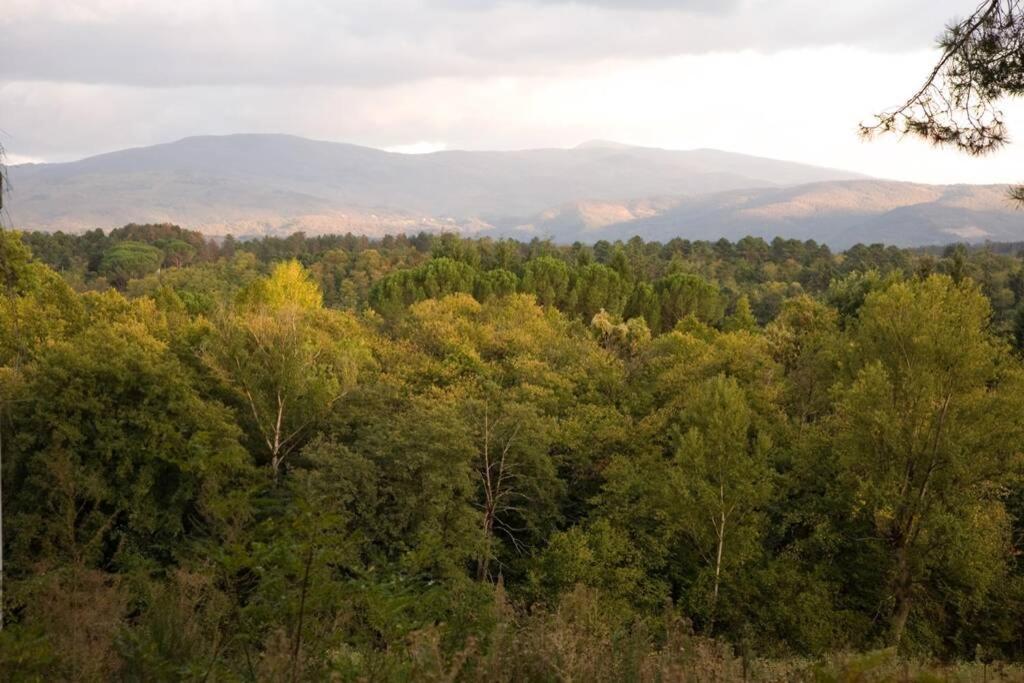 Villa Liz Tuscany, Private Pool, Hot Tub, Property Fenced, Pets Allowed Poppi Esterno foto
